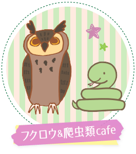 エキゾチックカフェ