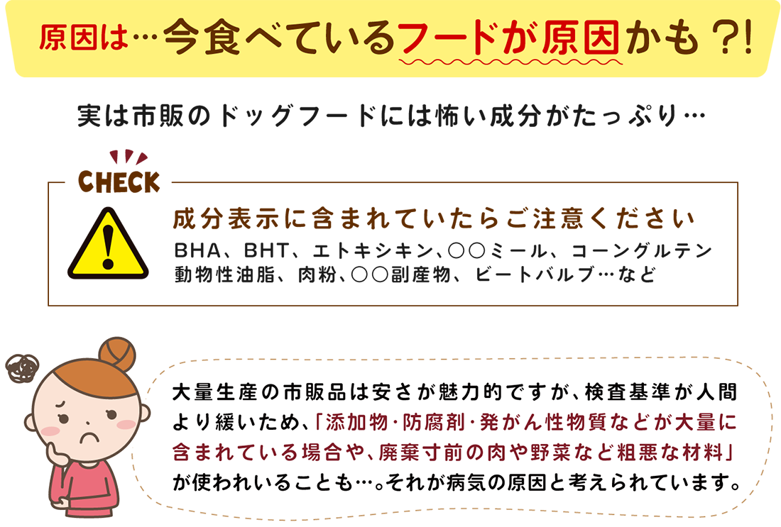 原因は今食べているフードが原因かも