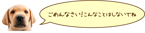 こんなことしないでね