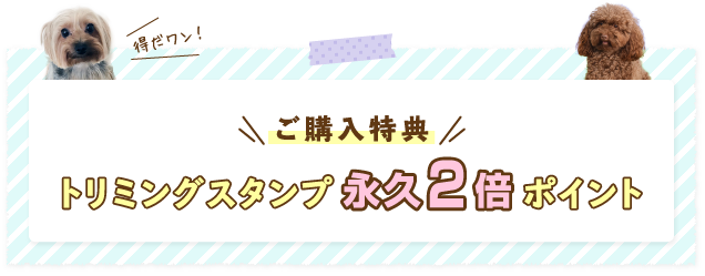 【ご購入特典】トリミングスタンプ2倍！