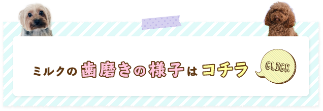 歯磨きの様子はコチラ