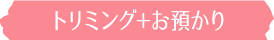 トリミング+お預かり