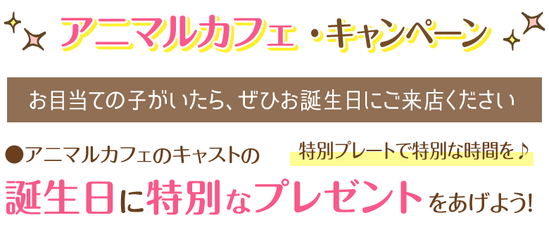 誕生日プレゼント