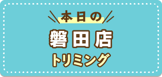 本日の磐田店トリミング