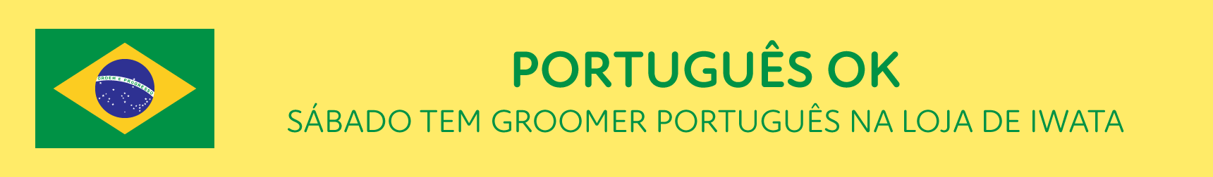 ポルトガル語OK